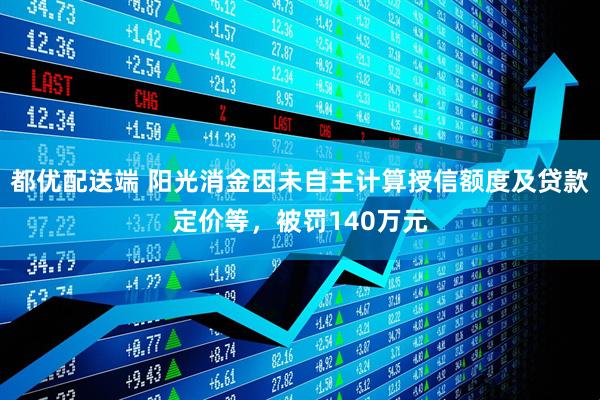 都优配送端 阳光消金因未自主计算授信额度及贷款定价等，被罚140万元