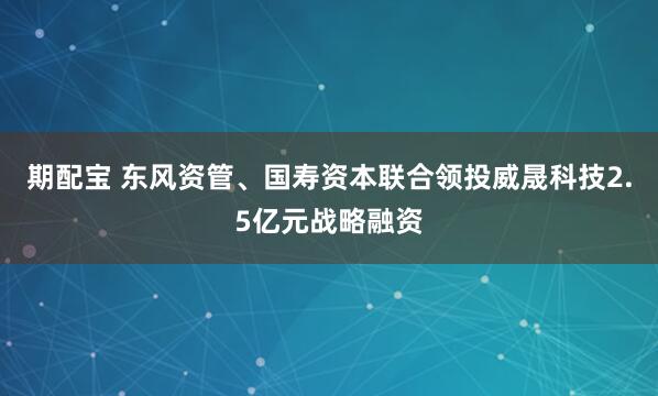 期配宝 东风资管、国寿资本联合领投威晟科技2.5亿元战略融资