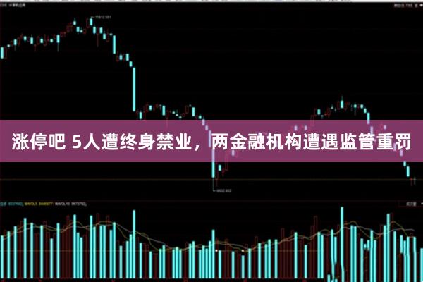 涨停吧 5人遭终身禁业，两金融机构遭遇监管重罚
