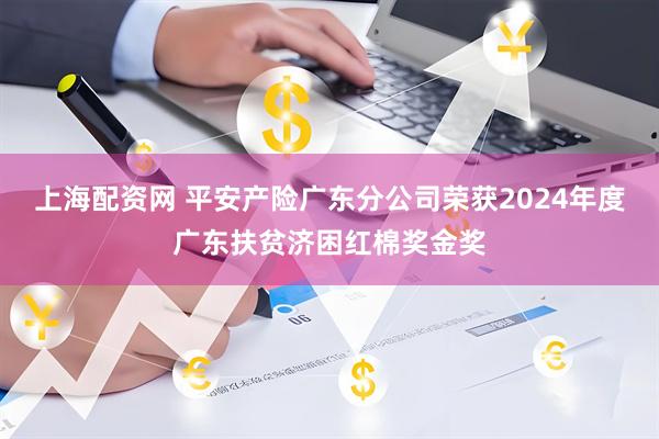 上海配资网 平安产险广东分公司荣获2024年度广东扶贫济困红棉奖金奖