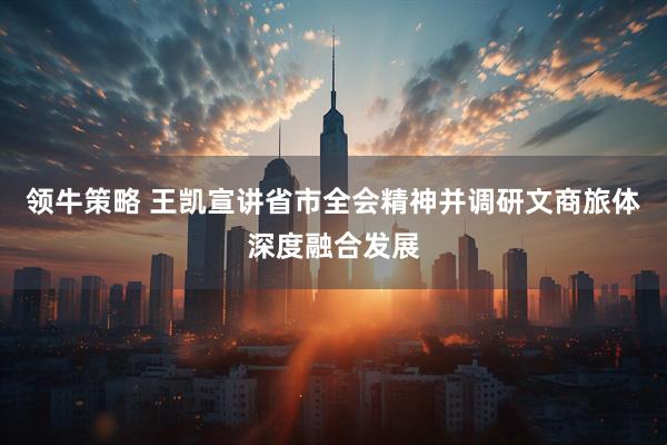 领牛策略 王凯宣讲省市全会精神并调研文商旅体深度融合发展