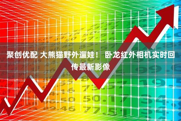 聚创优配 大熊猫野外遛娃！ 卧龙红外相机实时回传最新影像