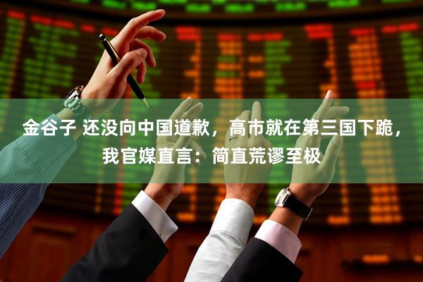 金谷子 还没向中国道歉，高市就在第三国下跪，我官媒直言：简直荒谬至极